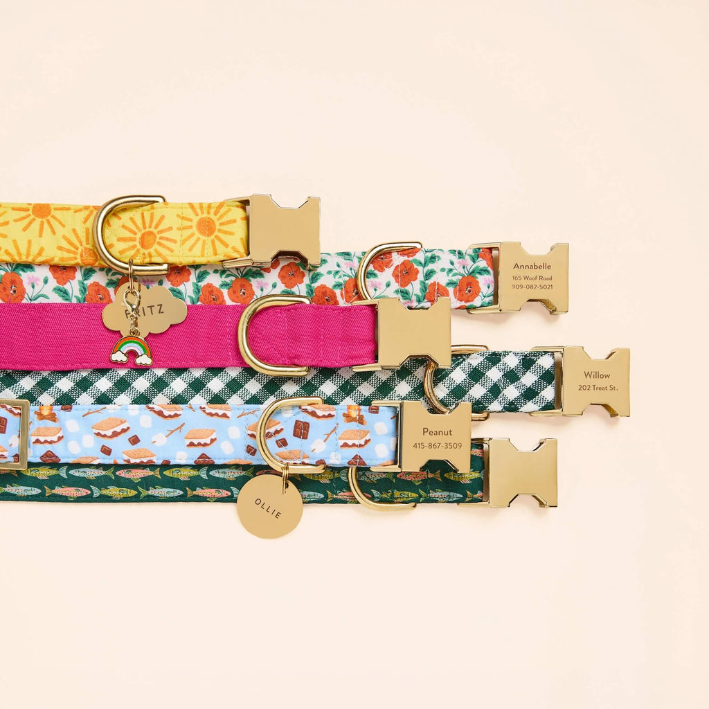 Gone Fishing Dog Collar