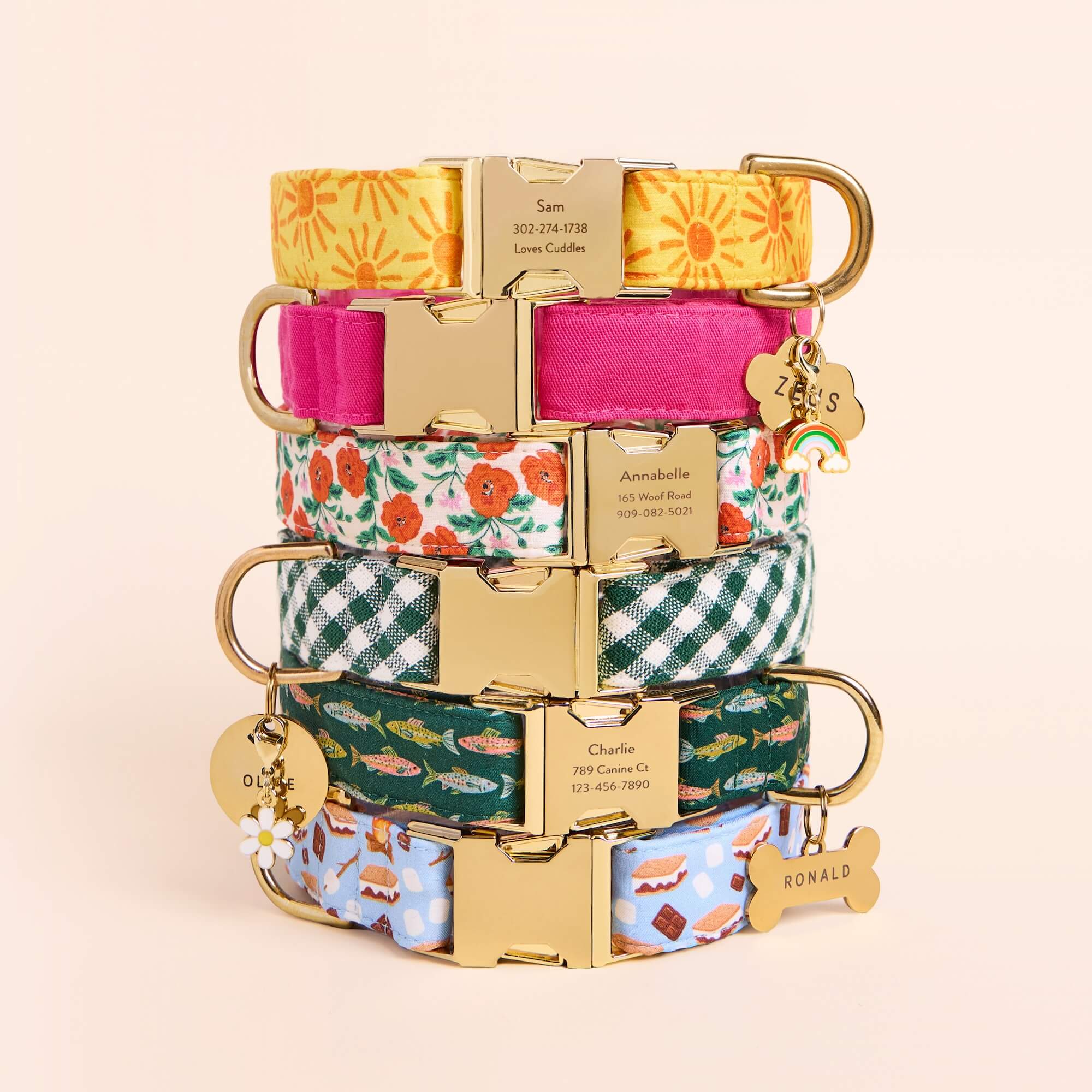 Gone Fishing Dog Collar