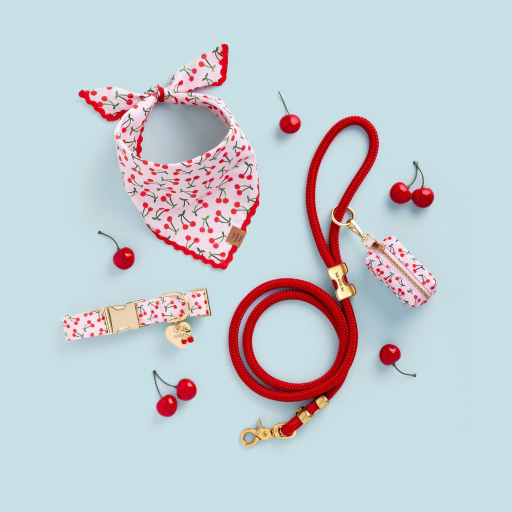 Cherry Jubilee Collar Walk Set