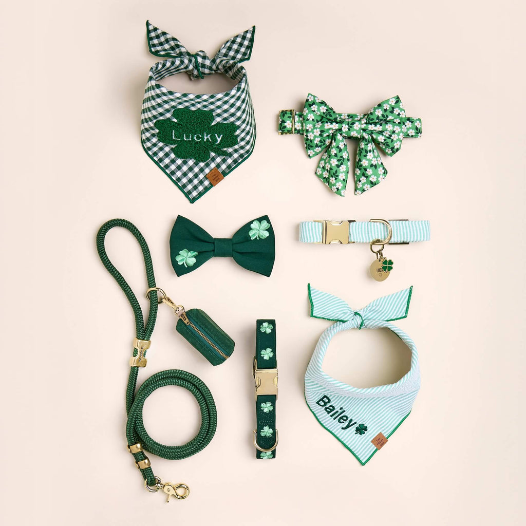 Clover Embroidered Dog Collar