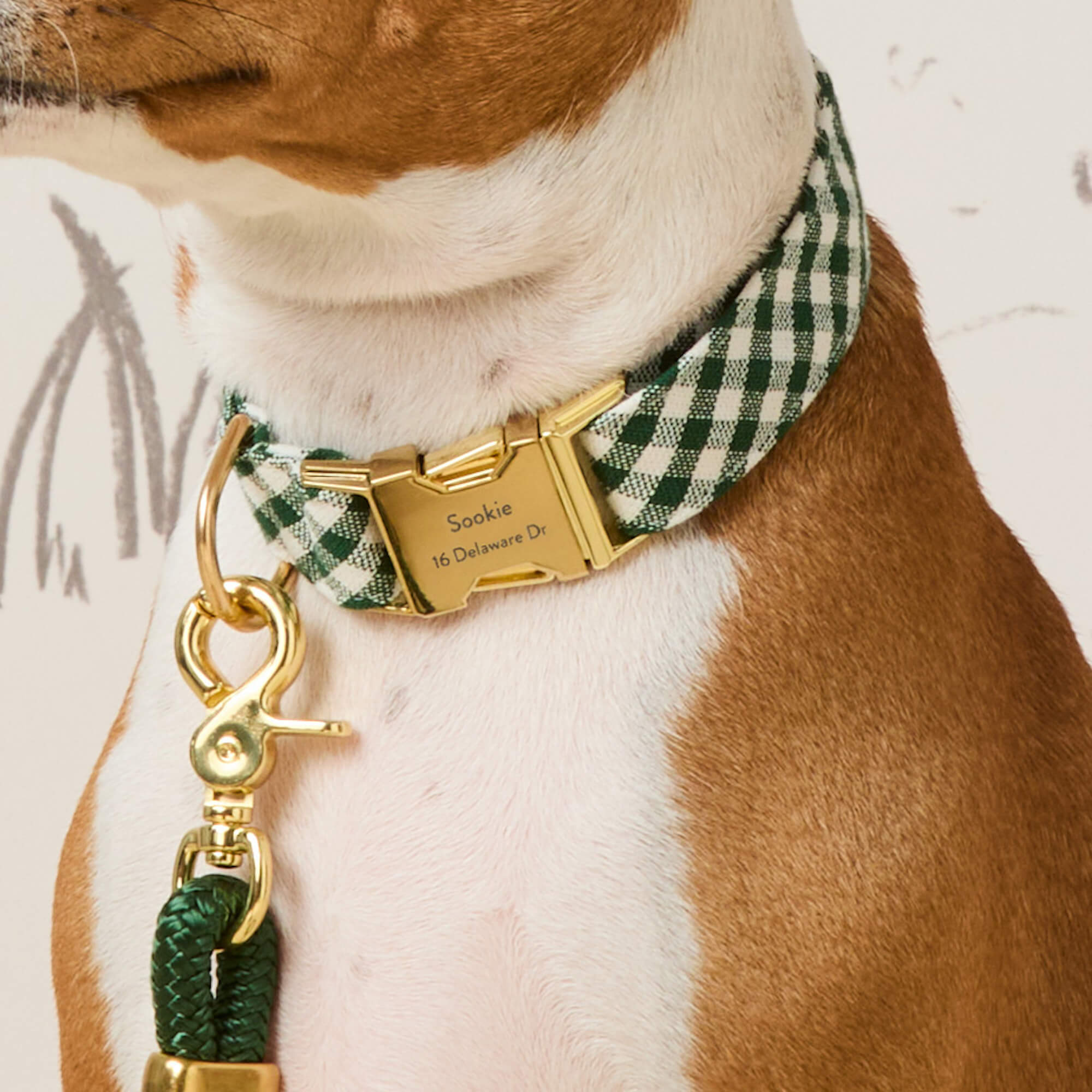 Evergreen Gingham Dog Collar