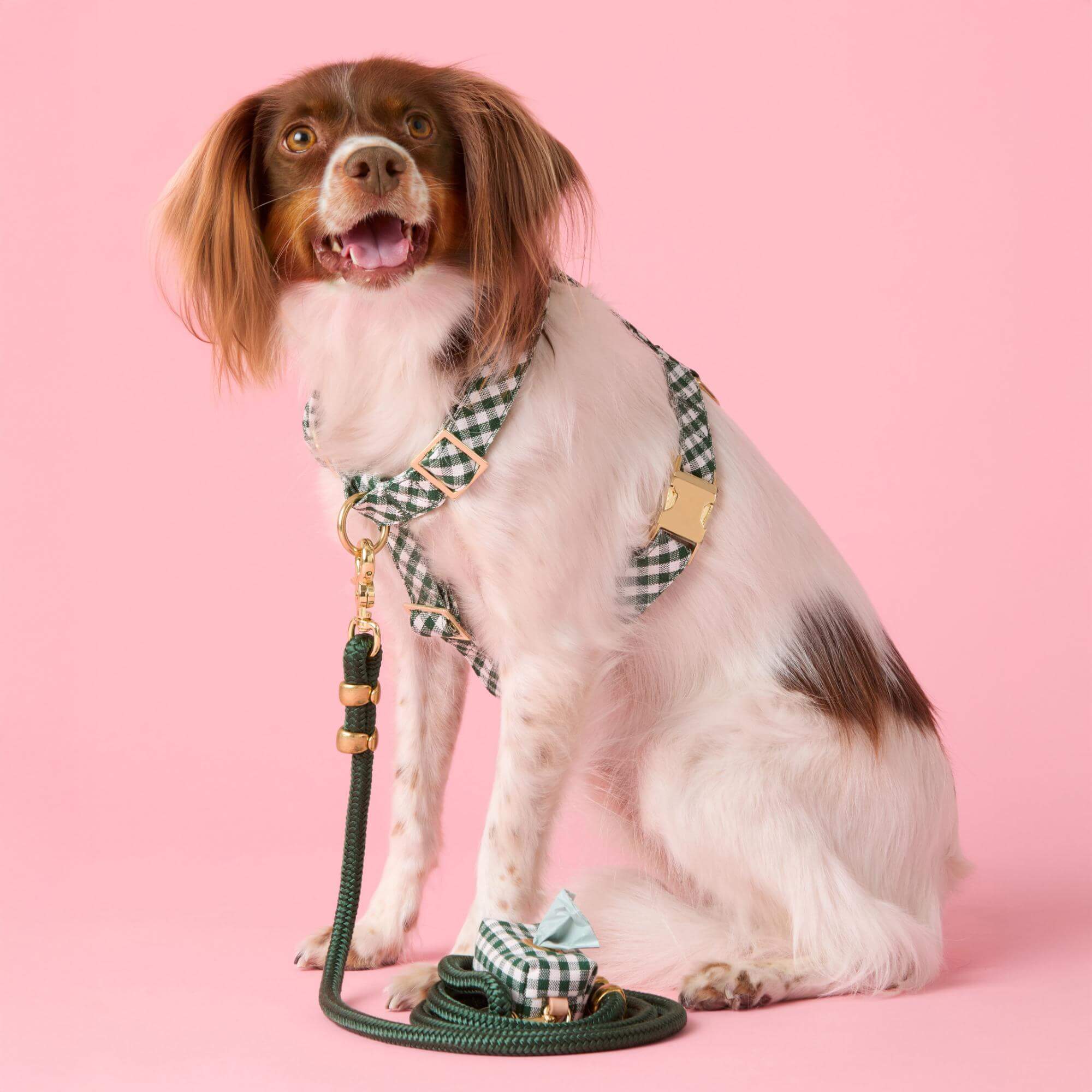 Evergreen Gingham Harness Walk Set