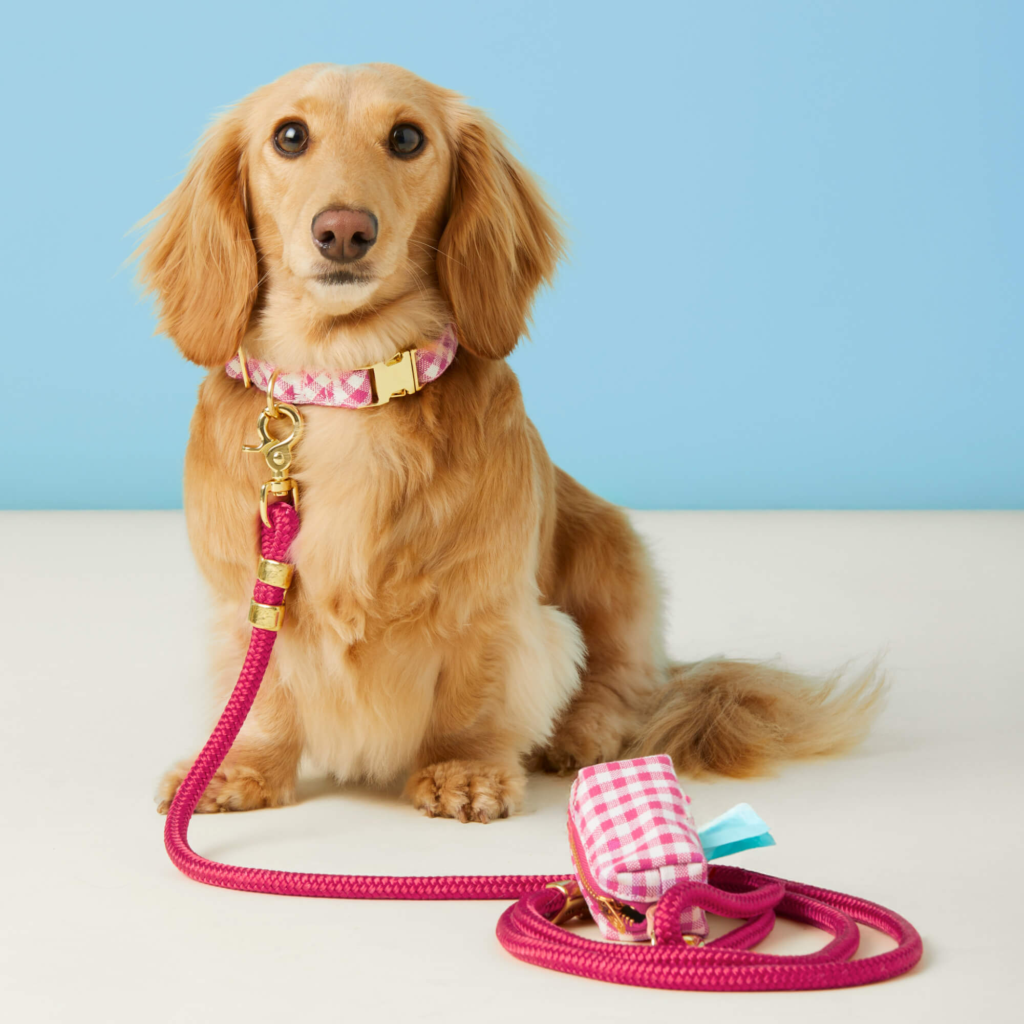 Hot Pink Gingham Waste Bag Holder