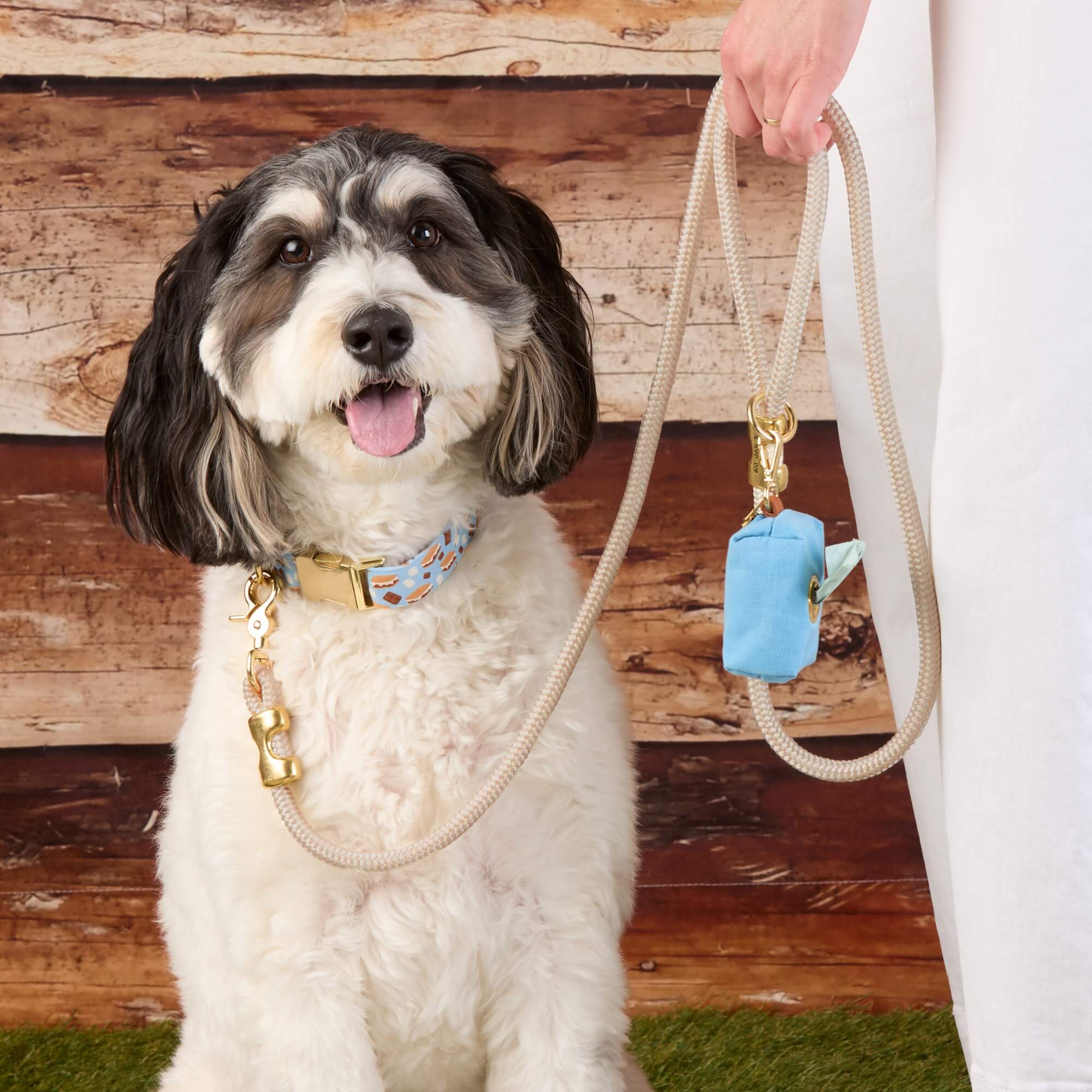 S¡¯more to Love Dog Collar