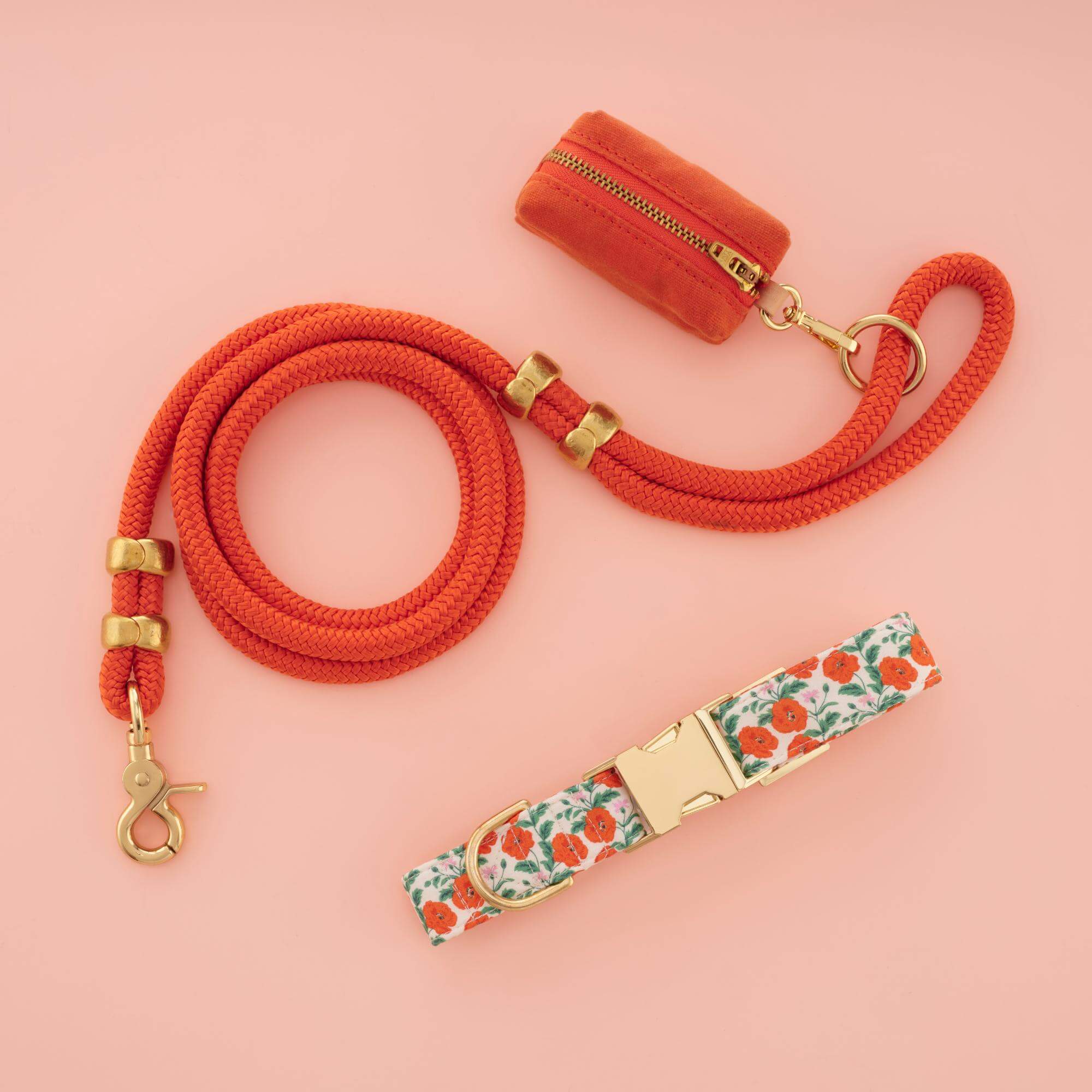Golden Poppies Collar Walk Set