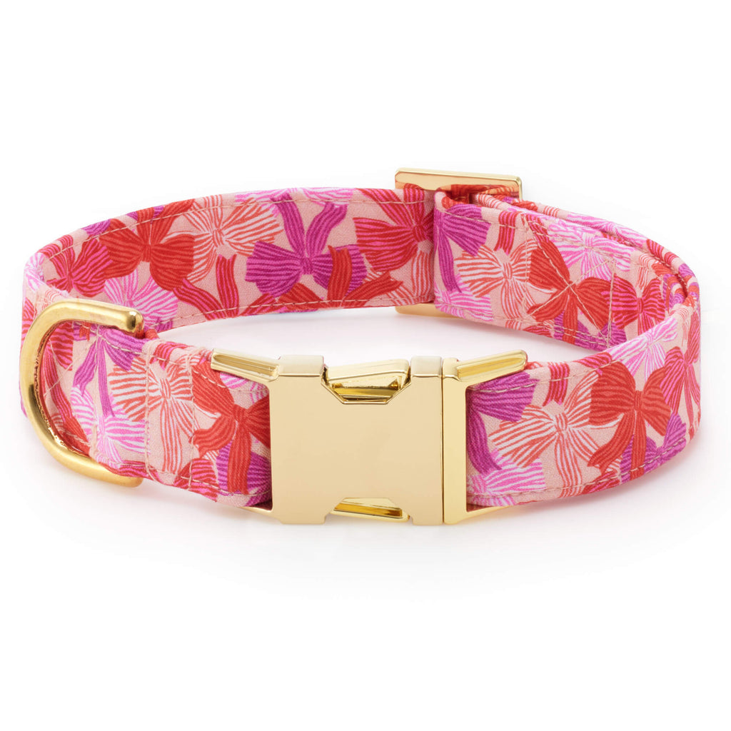 Take a Bow Collar Walk Set