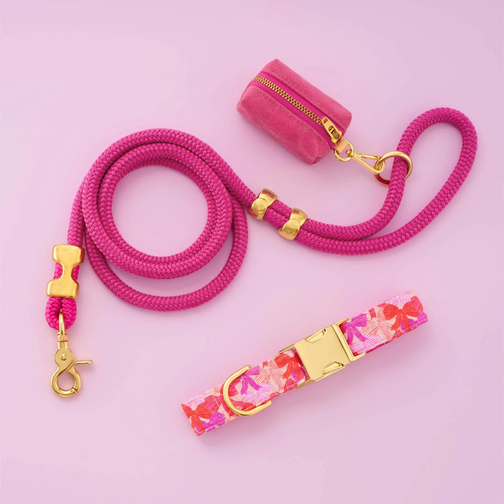Take a Bow Collar Walk Set